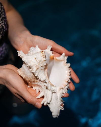 Именинникам